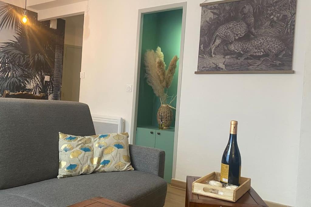 * Logement Haut De Gamme Centre * Περπινιάν Εξωτερικό φωτογραφία