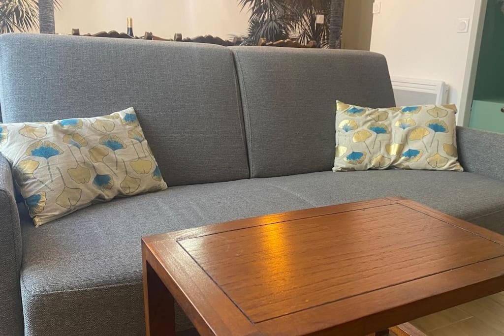 * Logement Haut De Gamme Centre * Περπινιάν Εξωτερικό φωτογραφία